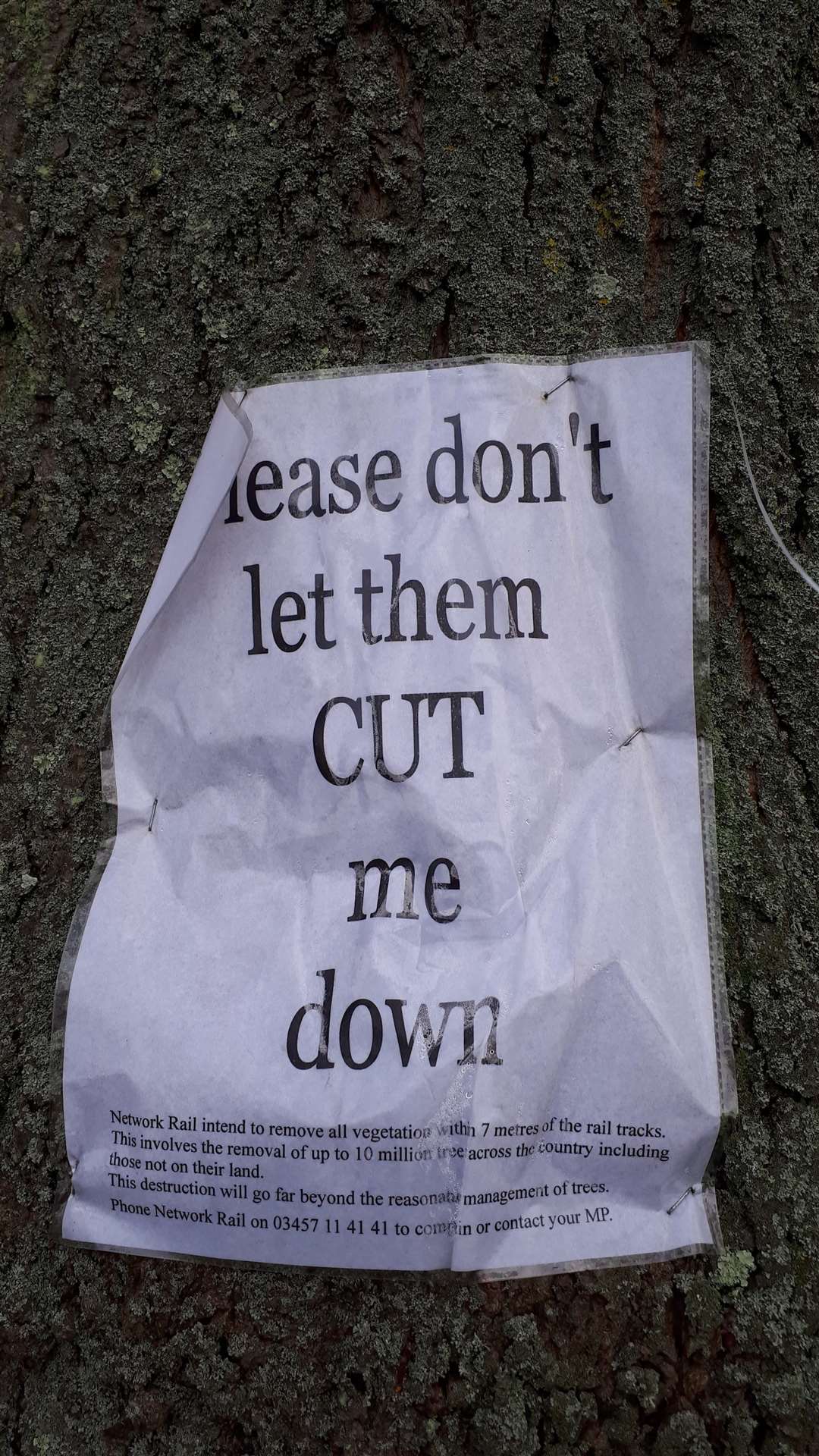 A campaign poster to save trees at Victoria Park