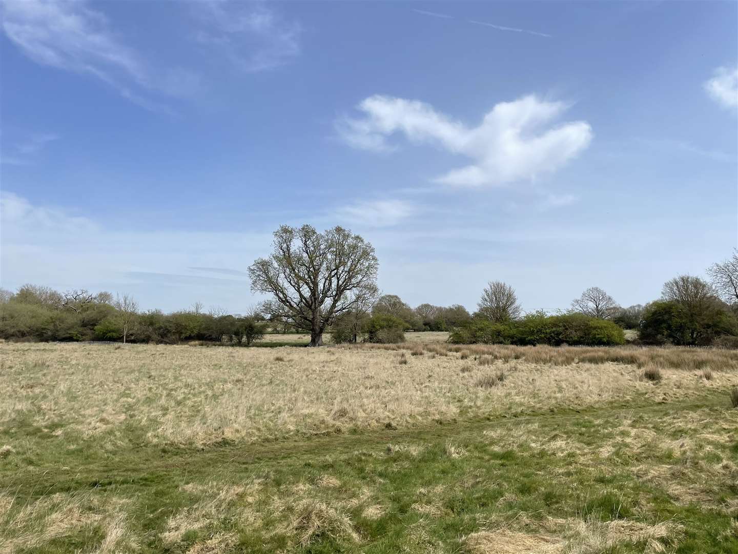 Developers want to build 141 homes on Limes Land in Tenterden