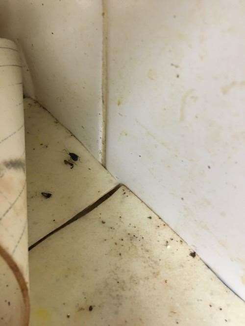 Cockroaches were found at the Al Madina Tandoori in Ditton. Picture: Tonbridge and Malling Borough Council