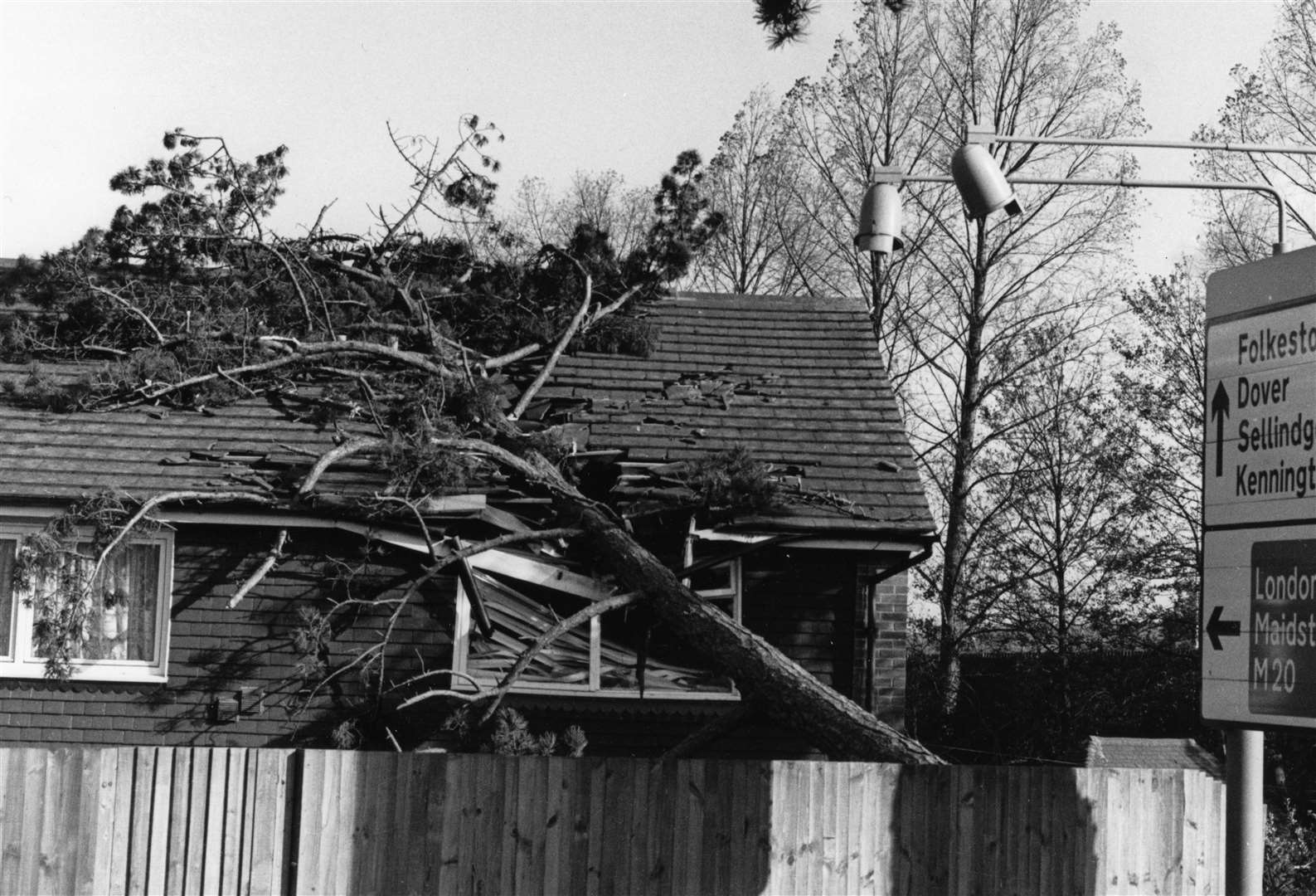 A tree fell through the roof of a house in Ashford. Picture: Steve Salter