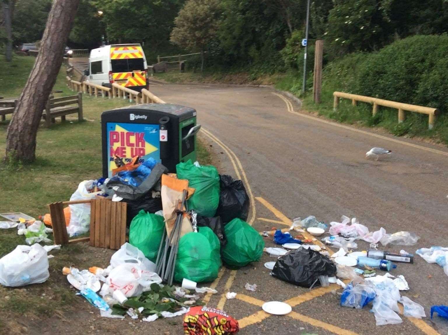 Overflowing bins have become a real problem in Folkestone. Picture supplied by Cllr Prater