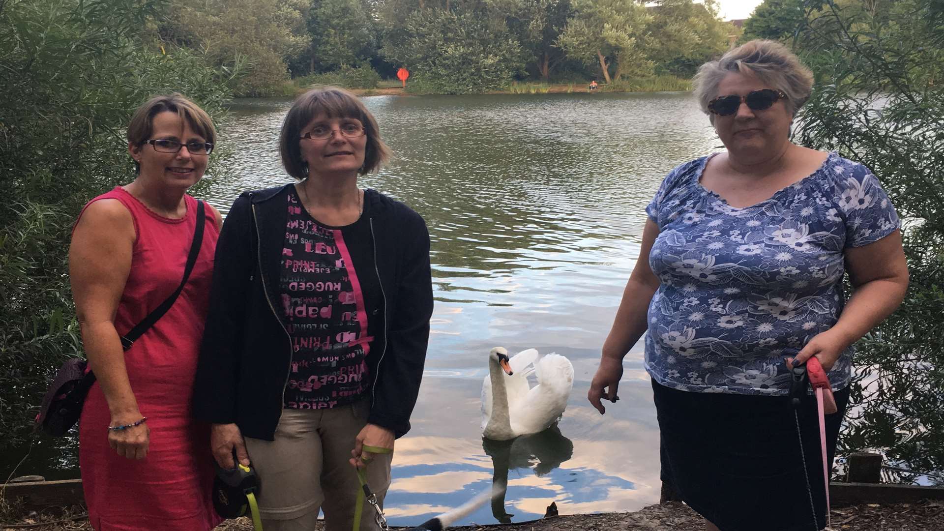 The women who helped save the swan: Sarah O'Keefe, RSPB volunteer Anna, and Velta Lacis