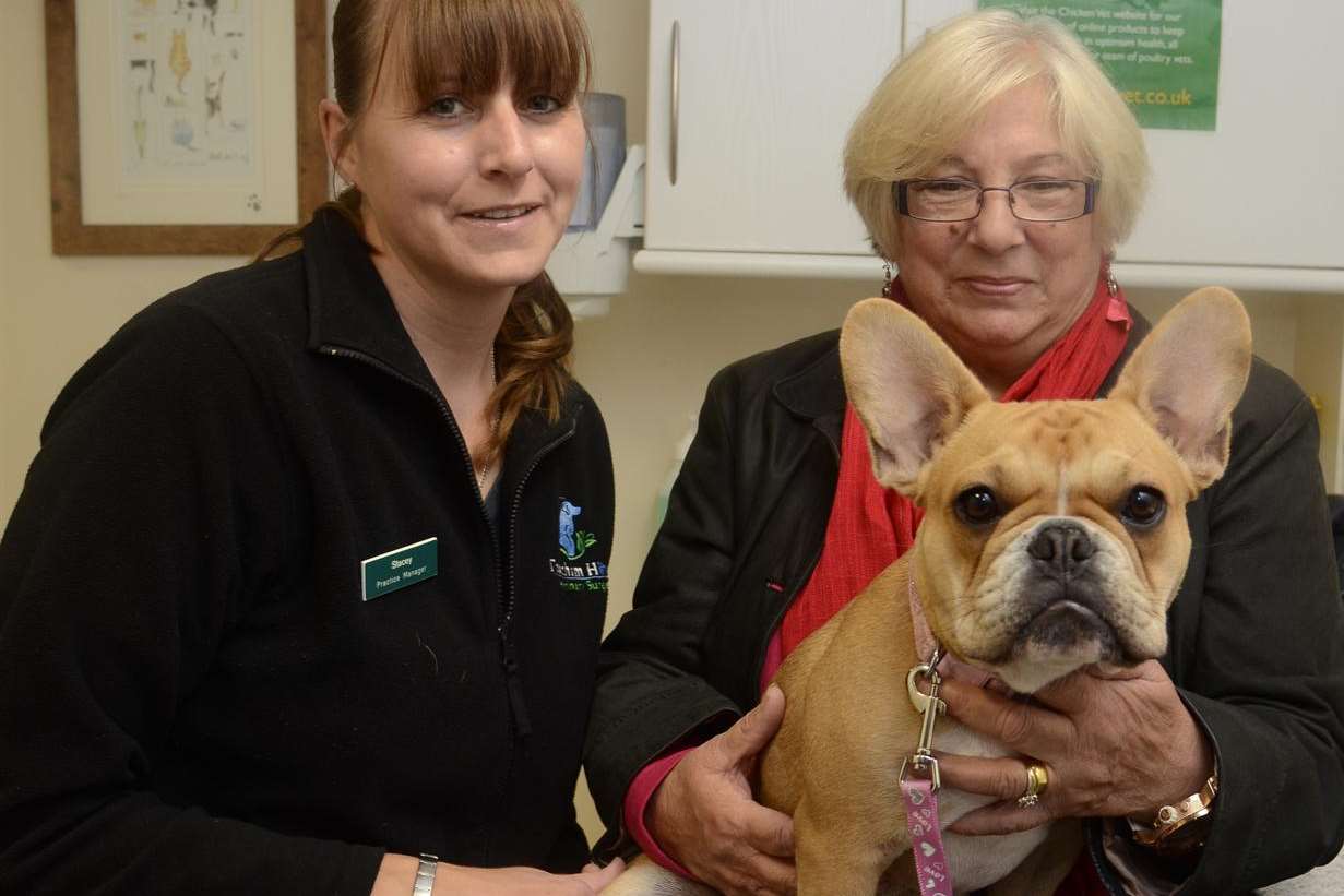 Missy the hermaphrodie bulldog with practice manager Stacey van Gent and owner Josie Munday