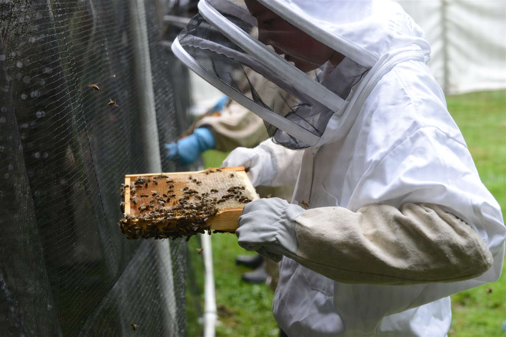 Bee keepers at last year's Kent County Show