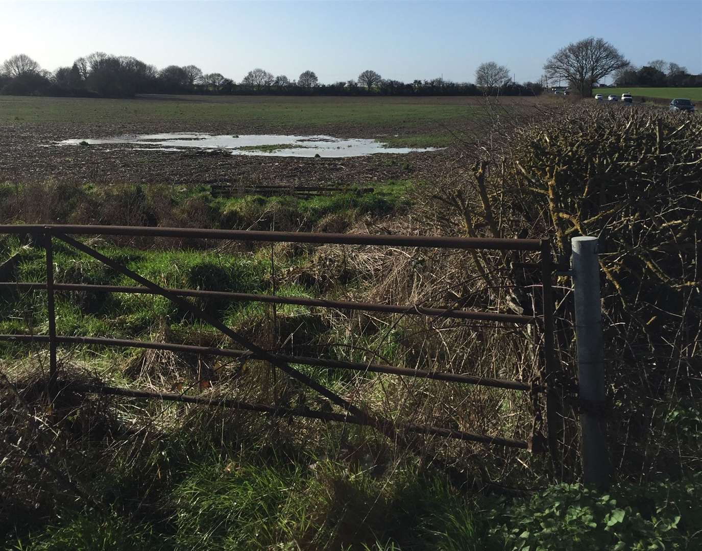 Part of the land where the 600-home Possingham Farm development could go