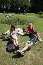 sun in brenchley gardens