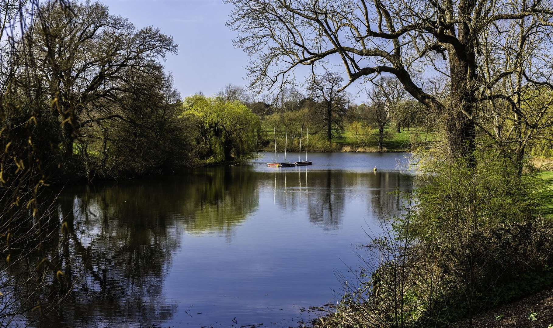 Learn about the history of Mote Park in Maidstone
