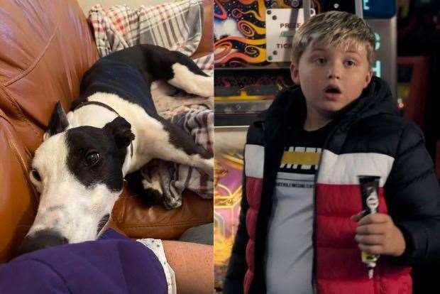 Neil the Baby has gone to his forever home. Picture (right): BBC/Baby Cow