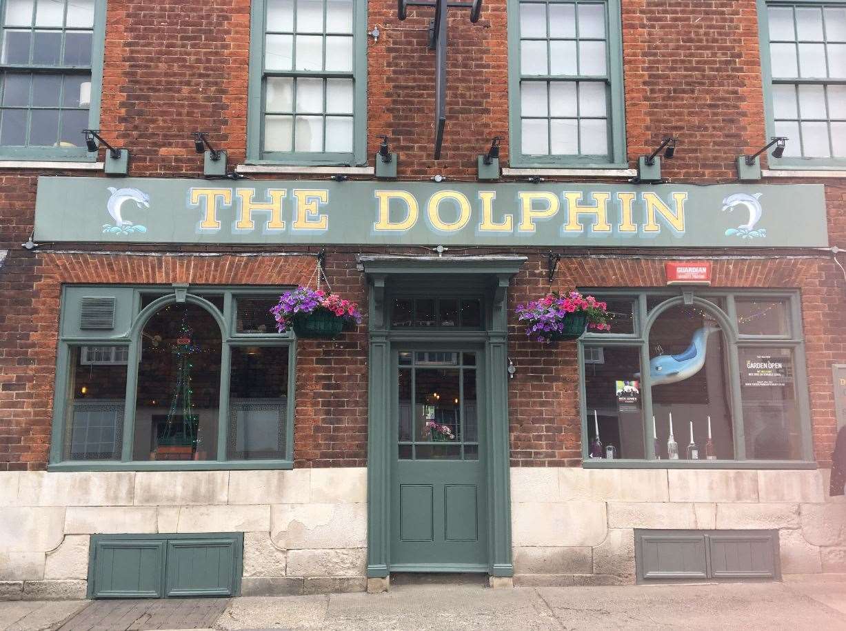 The Dolphin (12337025)