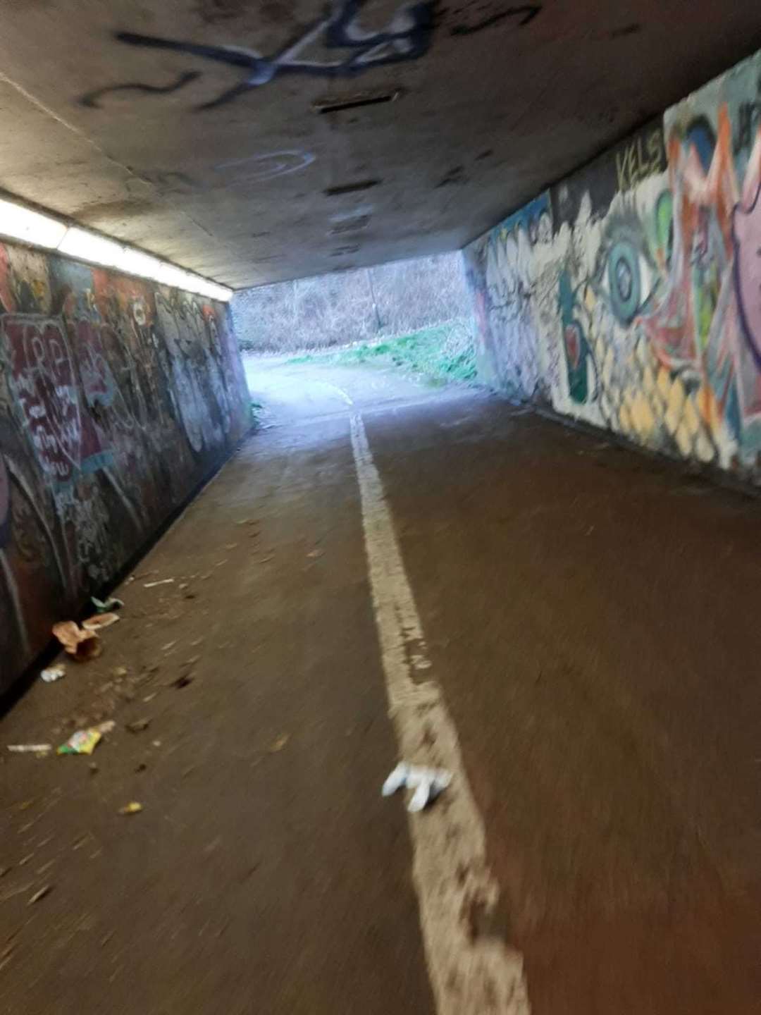Mya's mother Dawn Hopkins says people don't use the underpass because it is dark, messy and sometimes icy Picture: Dawn Hopkins