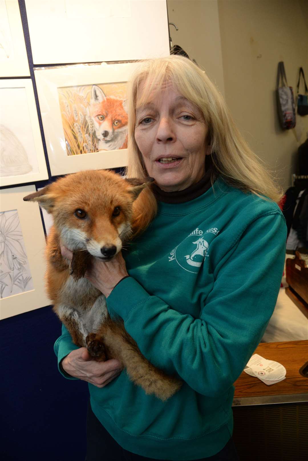 Lorraine St John of Kent Wildlife Rescue Service with her former pet fox Elfie Picture: Chris Davey