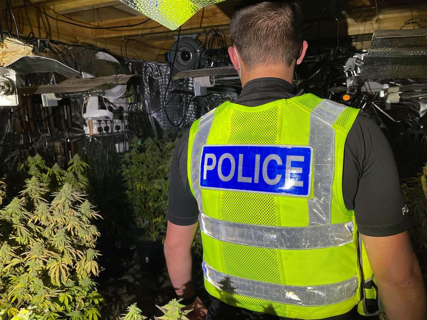 Police uncovered a cannabis factory while making an arrest. Stock picture