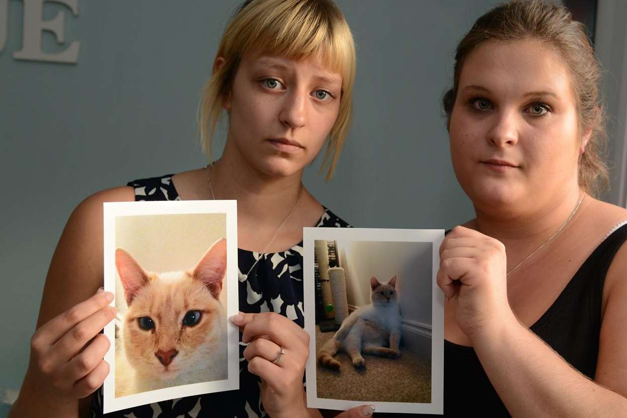 Rachel Ledner and her friend Emma Miller with pictures of their cat O'Malley
