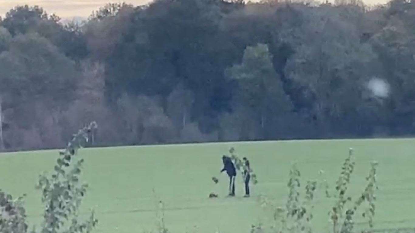 Shocking images show two people beating a fox to death in a park in Orpington. Picture: South London Animal Investigation Network (43096970)