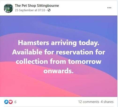Facebook notice that there had been a hamster delivery to the Pet Shop in Sittingbourne