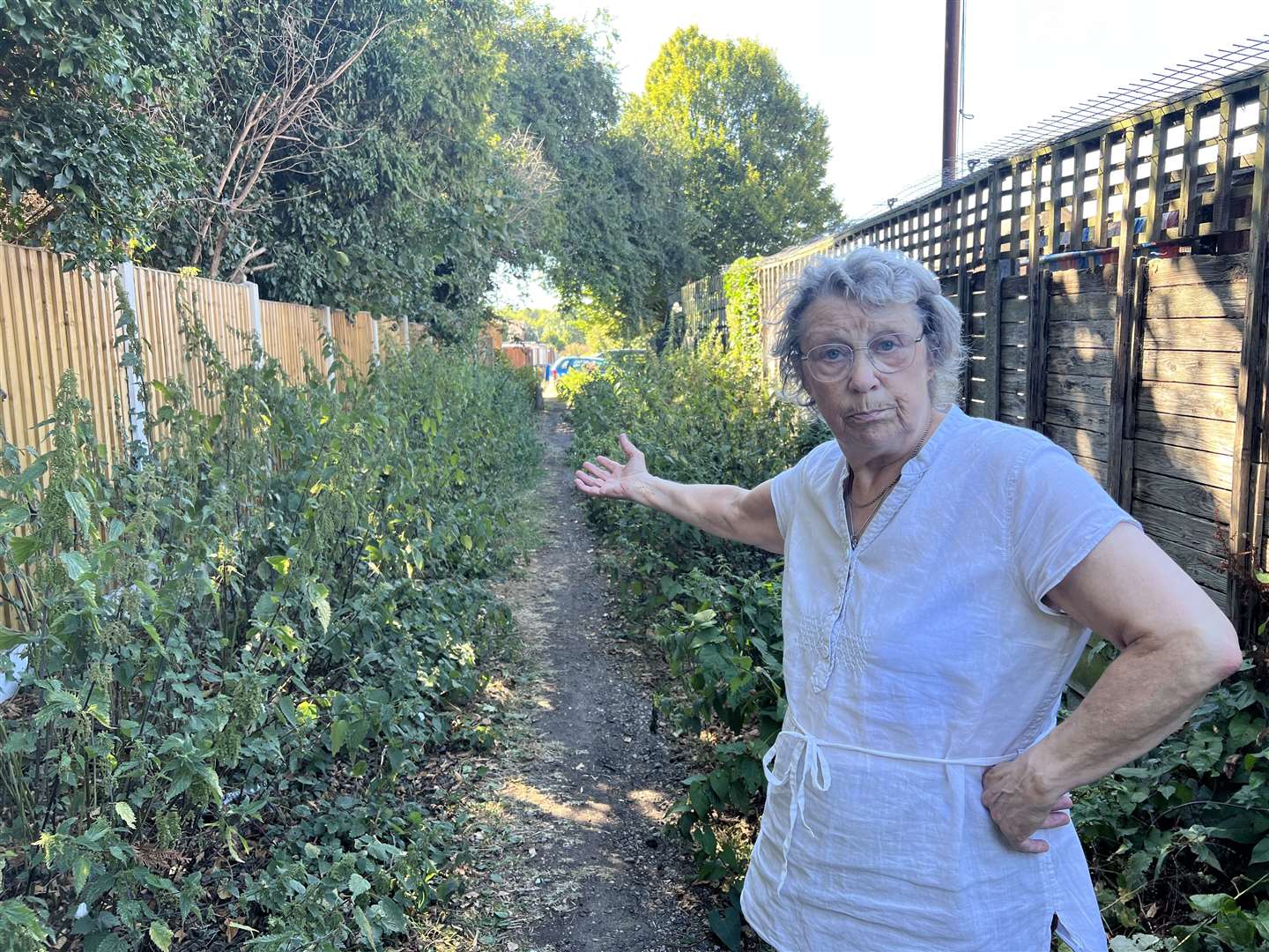 Barbara Gouin wants someone to talk responsibility for the overgrown alleyway by her home in Newington