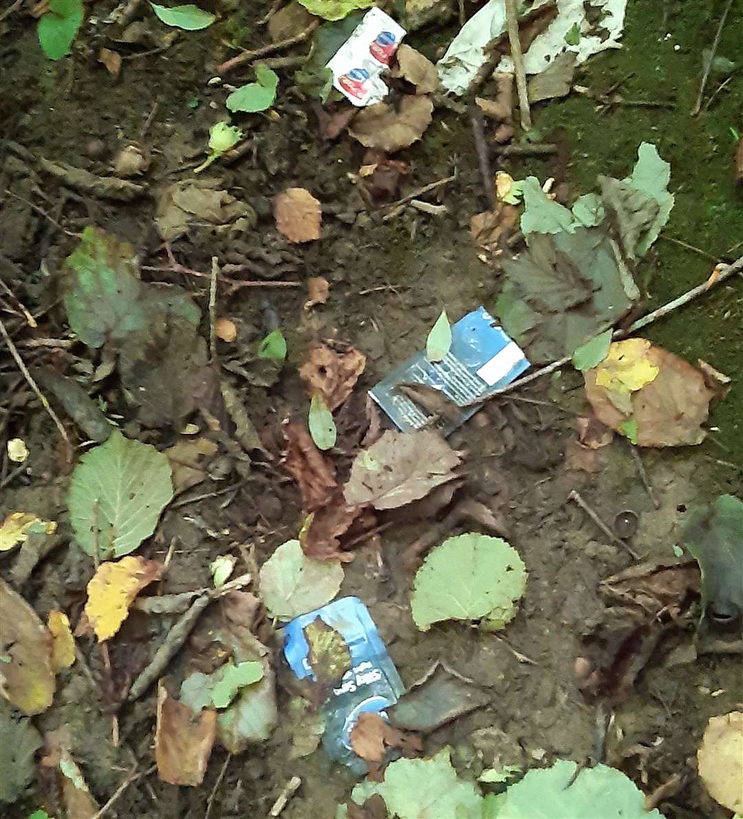 Used condoms were left strewn across the meadow