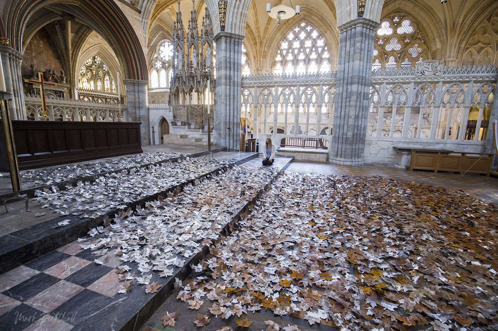 The Leaves of the Trees when it was at Exeter Cathedral Photo: Mark Pickthall