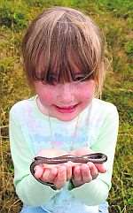 Caption:Erin Brady, five, with a slow worm.