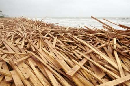 Timber! But it could be dangerous and cost scavengers a heavy fine