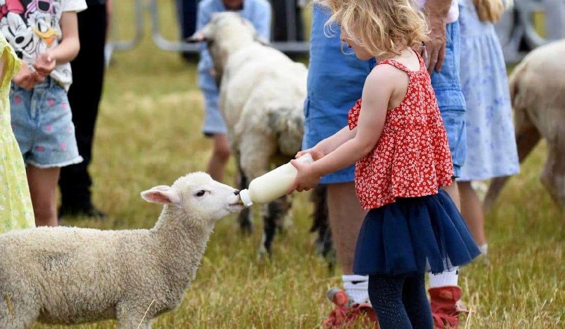 There will be a chance to see farmyard animals and reptiles at the festival. Picture: Facebook / Kent Fest