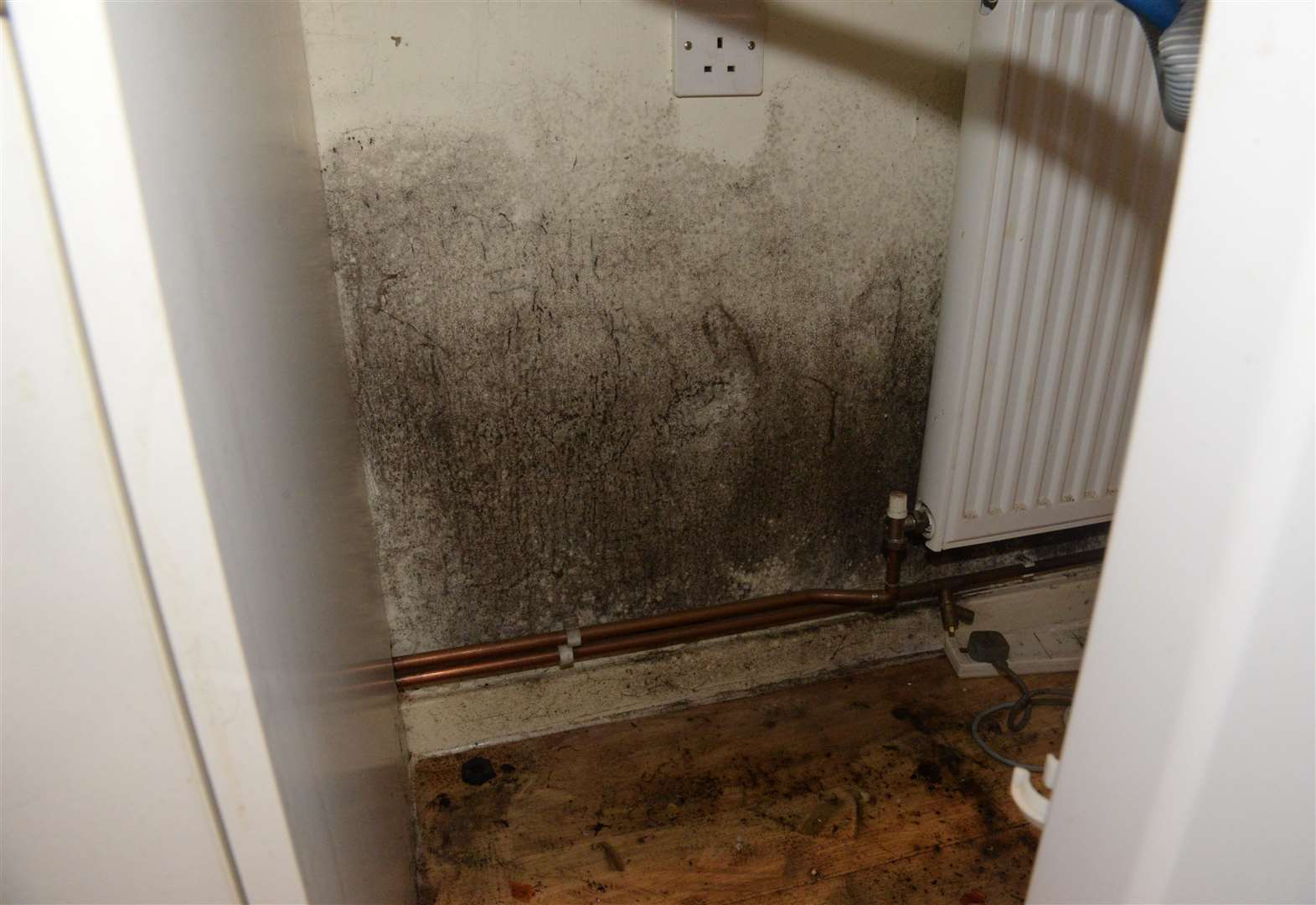 Mould in the kitchen area of Jane Roberts flat in Westgate Gardens, Canterbury. Picture: Chris Davey. (6788074)