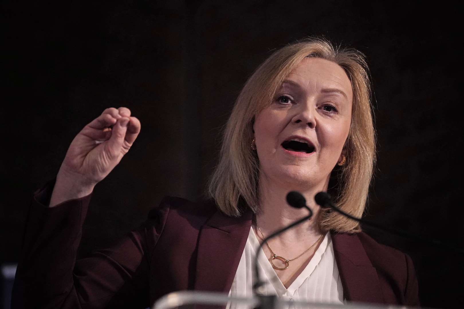 Some of the MPs have previously accused the Bank of working against the policies of former PM Liz Truss (Victoria Jones/PA)