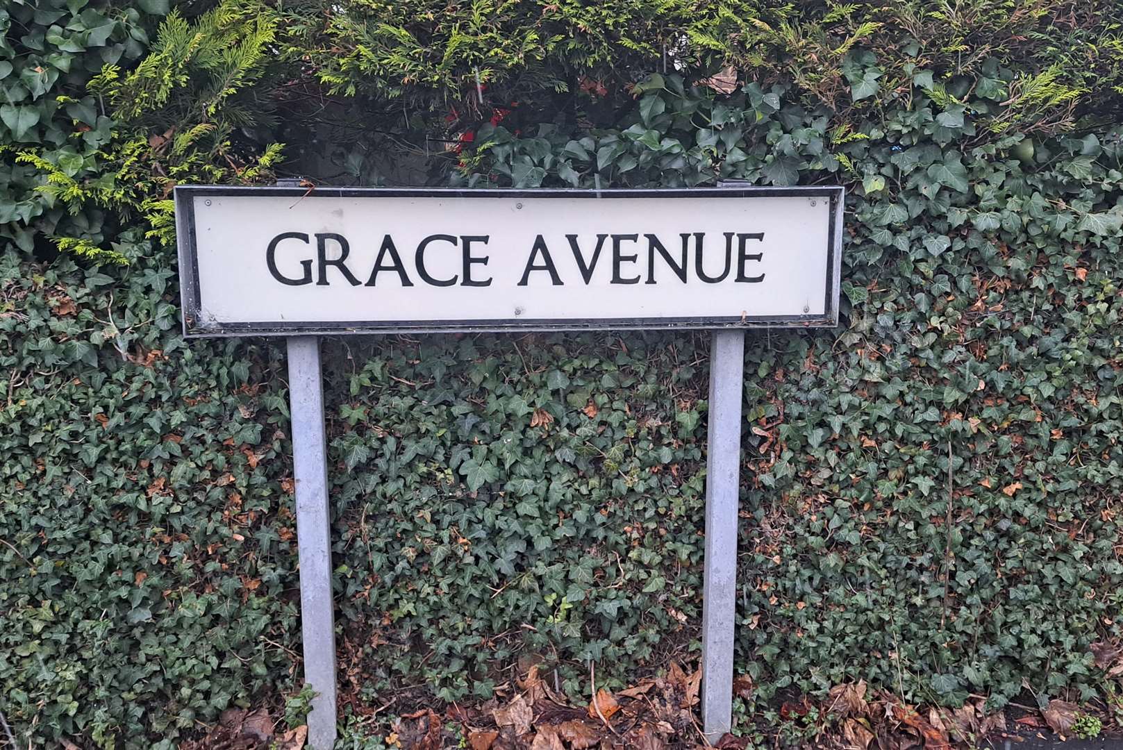 Grace Avenue is a development of semi-detached homes built in the 1920s
