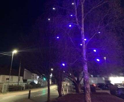 A tree in Staplehurst has been turned blue to show support for the NHS Picture: Paddy Riordan