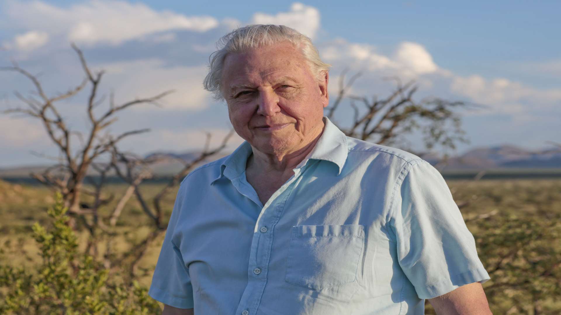 Life Story with David Attenborough. Picture: BBC