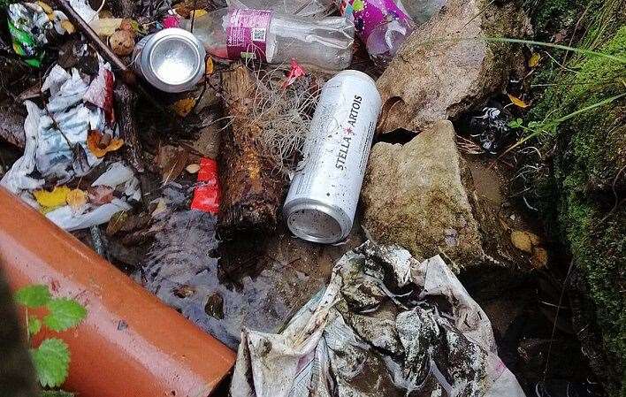 Rubbish in the River Len