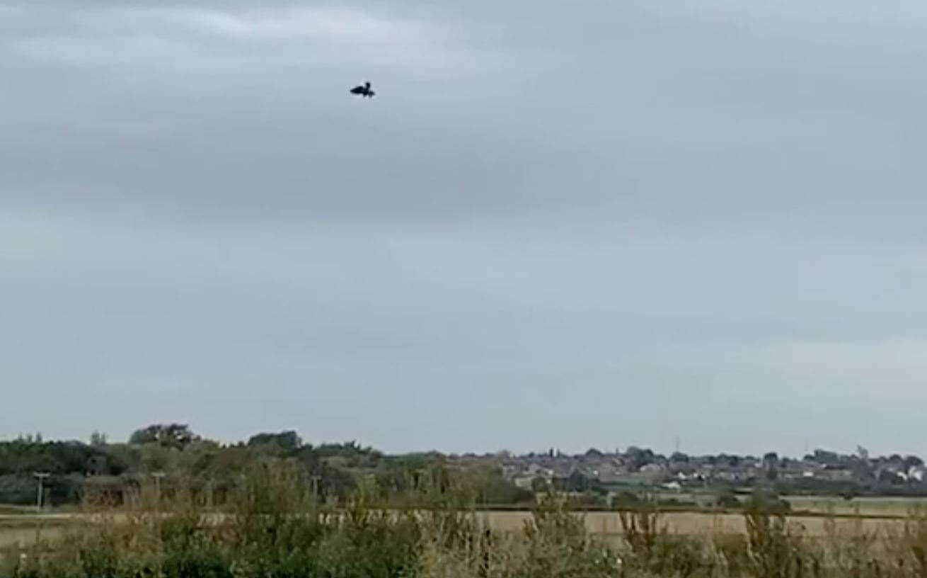 The buzzard can be seen falling from the sky