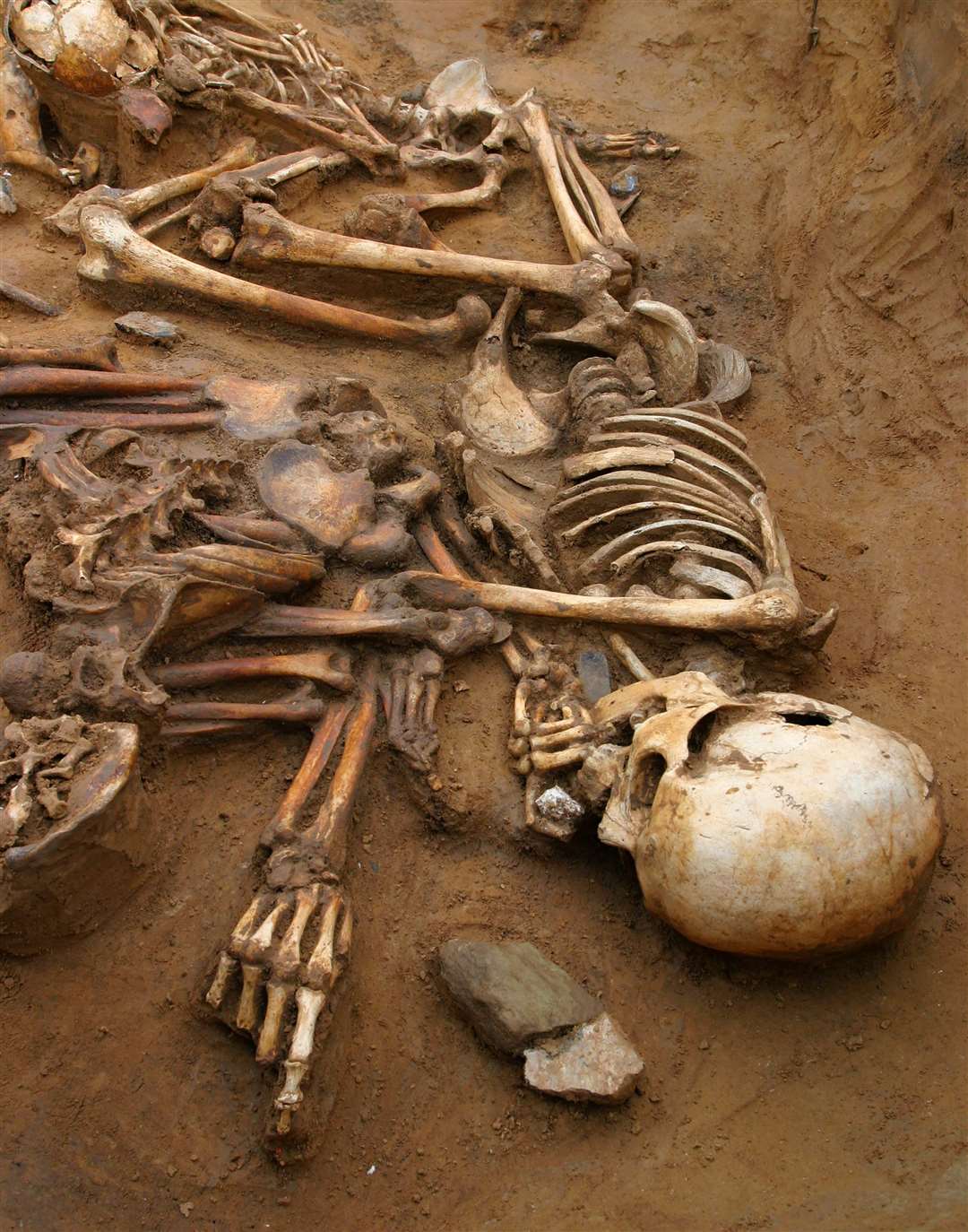 The skeleton of an elderly woman from the same burial pit at Cliffs End Farm, Thanet. Picture: SWNS