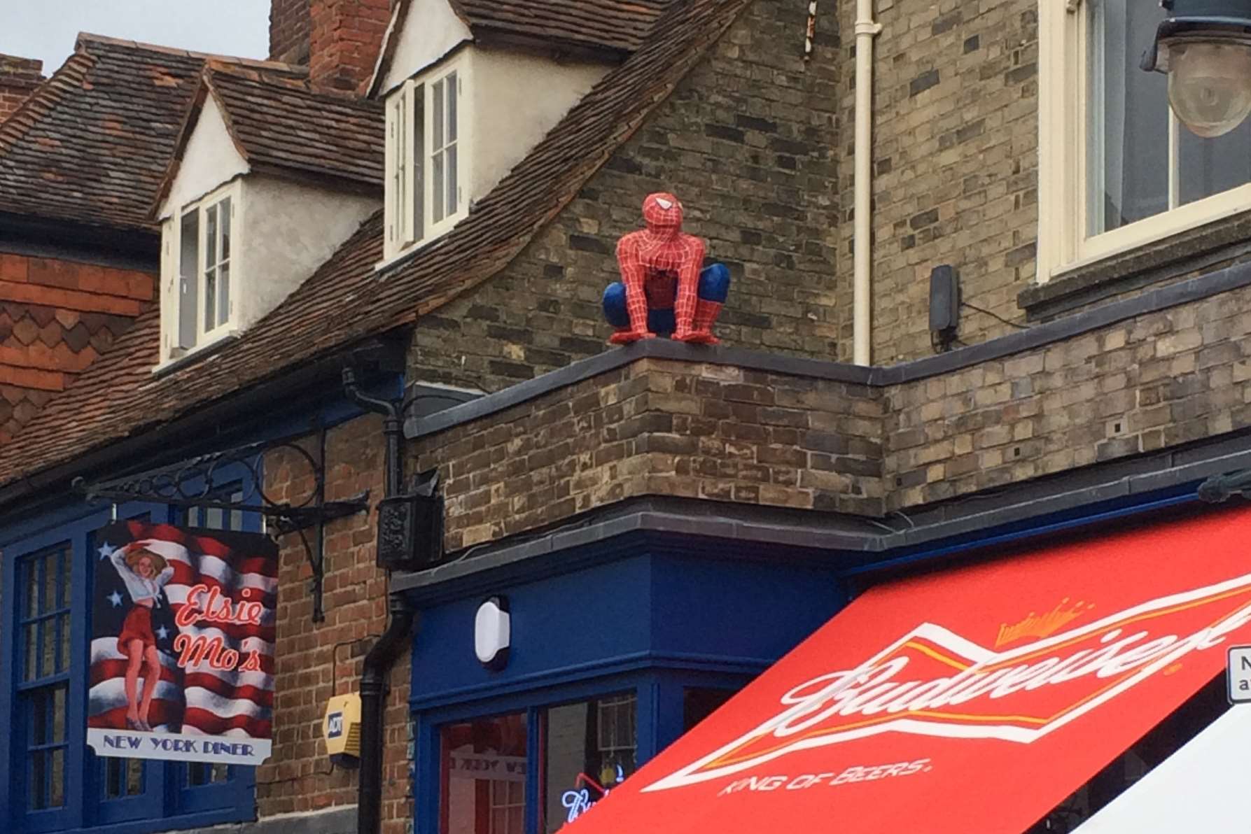Thieves have stolen the Spiderman figure from Elsie Mo's Diner in Burgate.