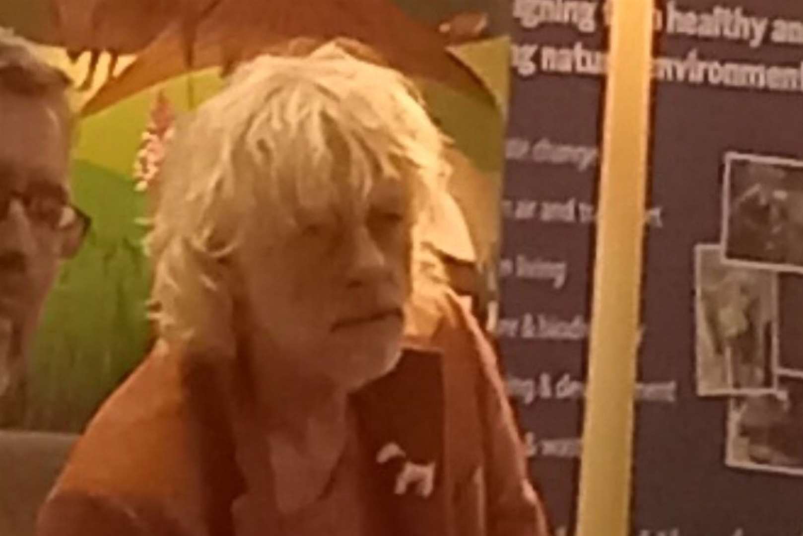 Bob Geldof speaking at the event on Thursday evening