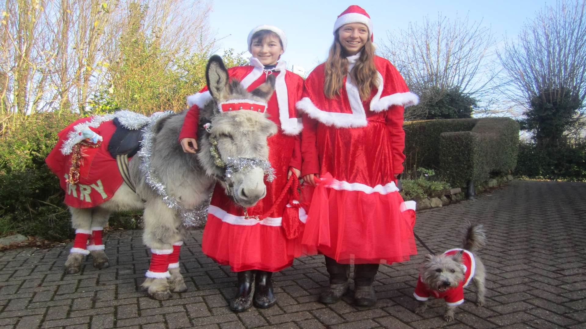 Harry the donkey pictured with cousins Jessica and Isla Greenaway, and pet dog Morag