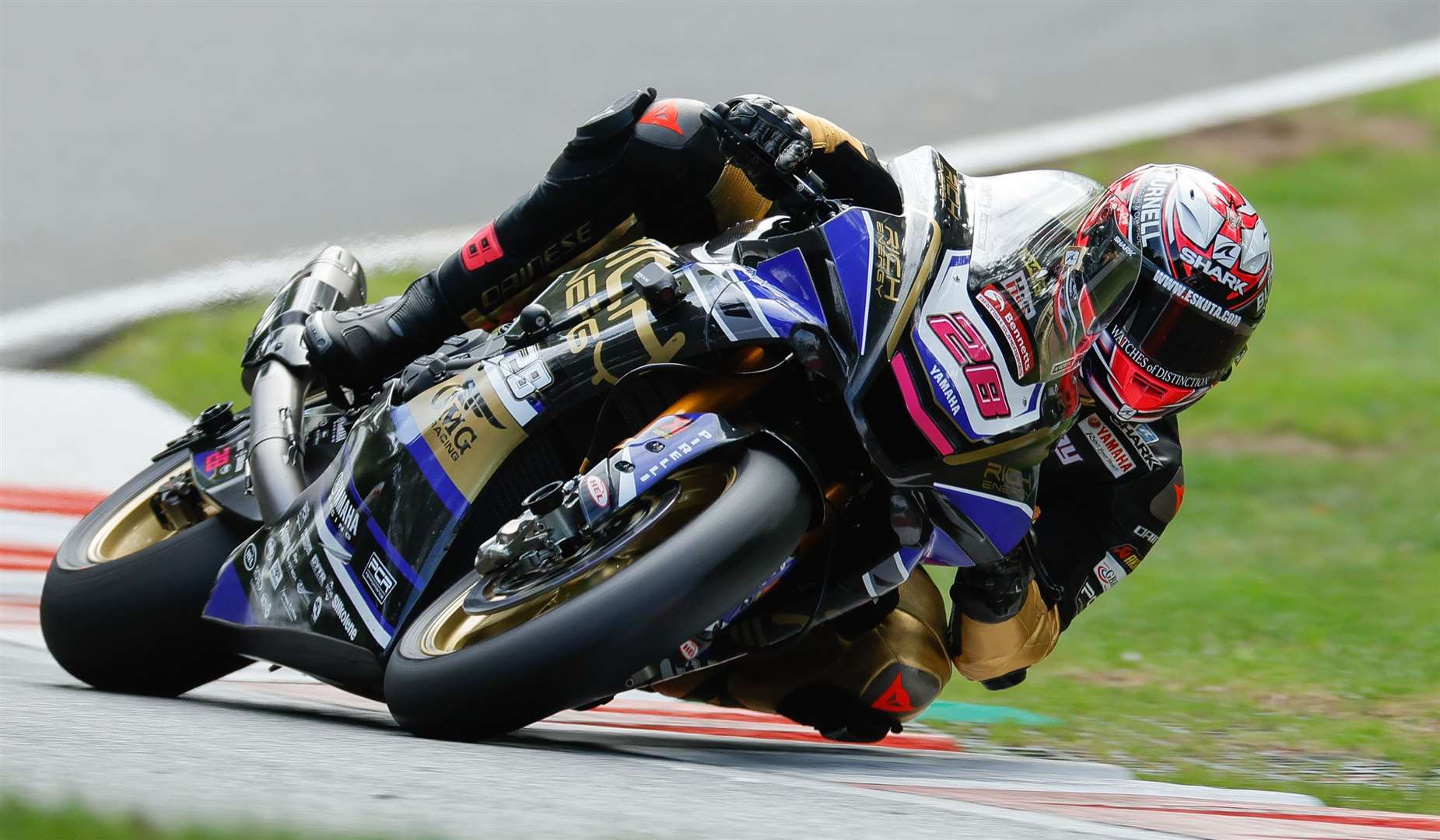 Bradley Ray tackles the Cadwell Park circuit. Picture: Ian Hopgood Photography