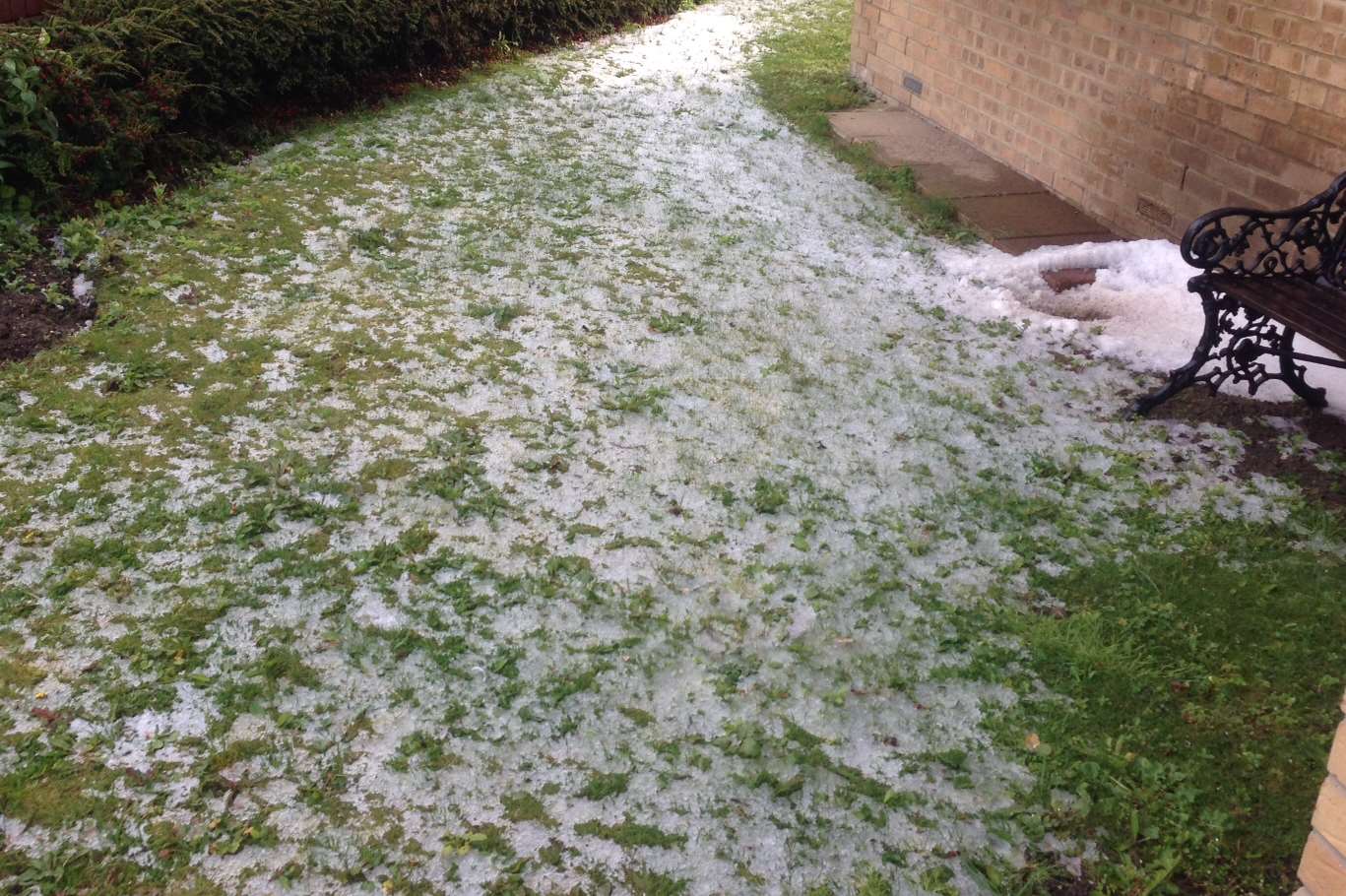 A garden in Rochester is also covered in hailstones