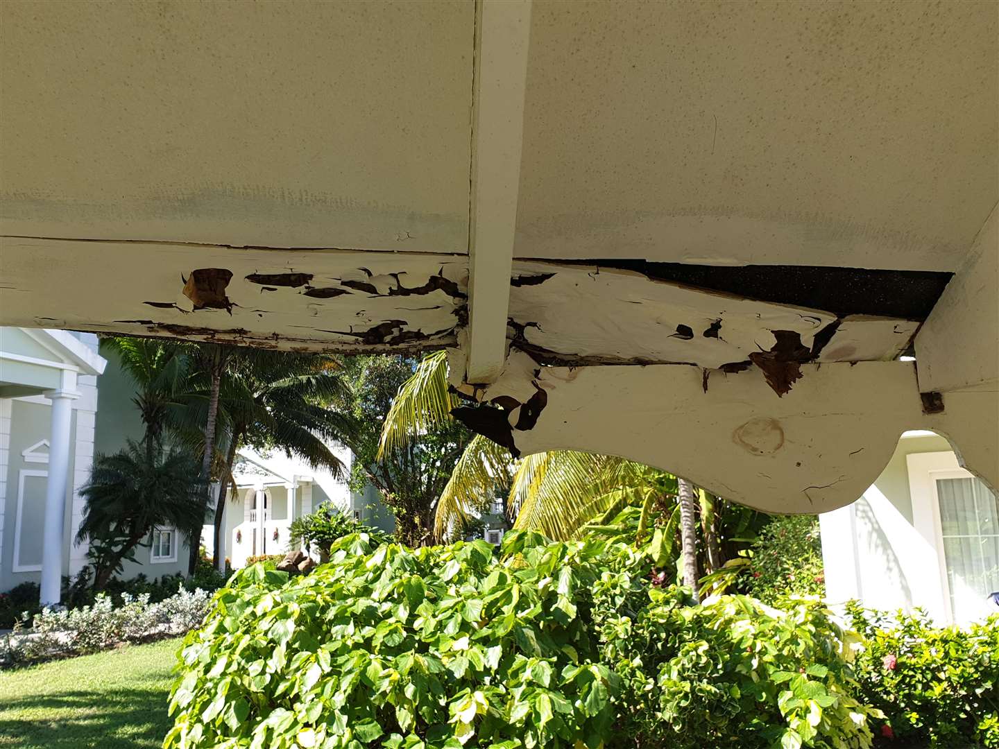 Photos suggest parts of the resort were in a poor state of repair. Pic: Karl Lewis-Law