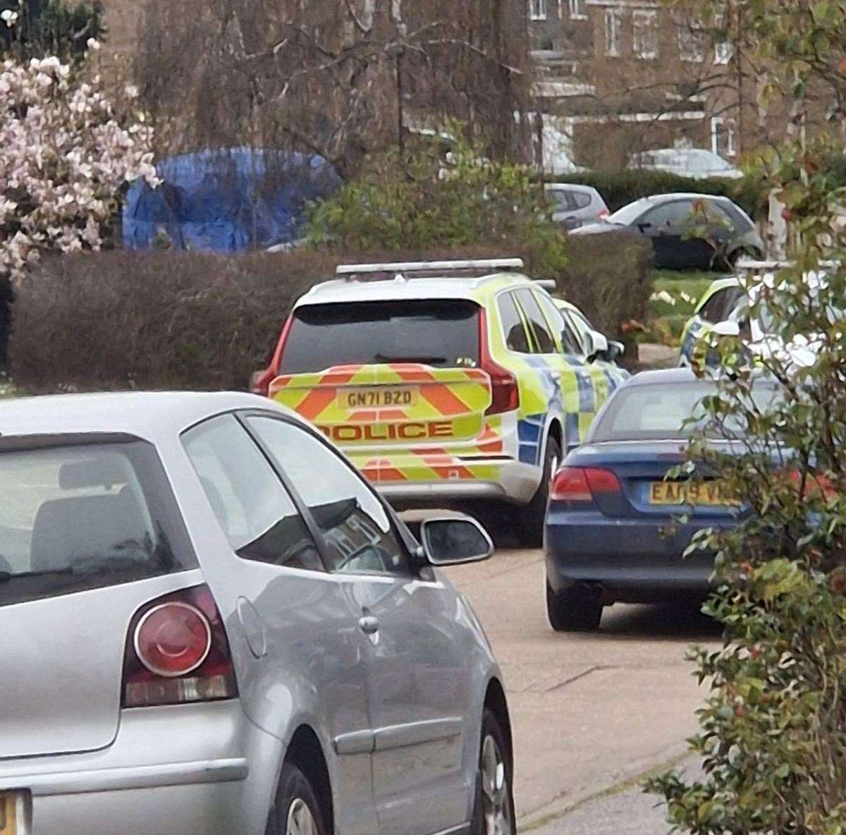 Police in Forgefields, Herne Bay, where a man was arrested on suspicion of assault and drug driving
