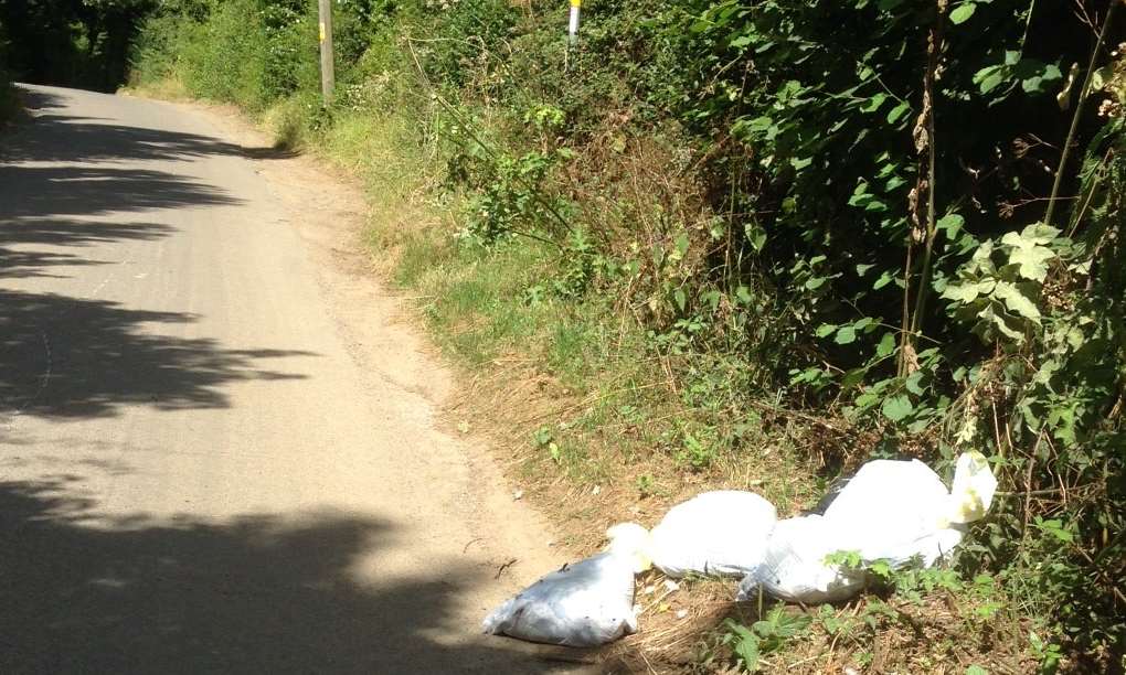 Caring Lane, where the bags have been dumped