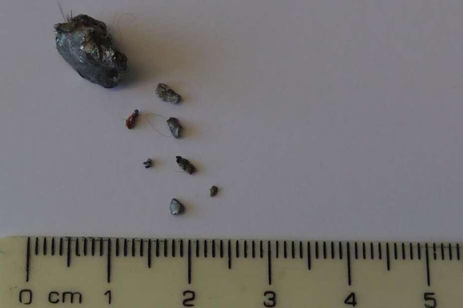 The pellet measured 1cm wide