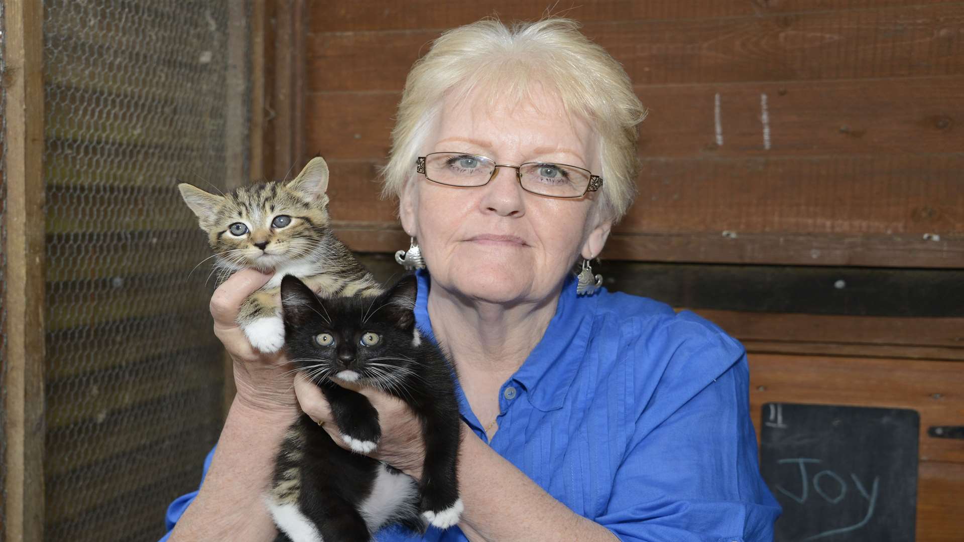 Kingsdown Cat Sanctuary's collection box was stolen from Animal House Veterinary Surgery in Deal. Clare Baumberg with two of the cats the good cause protects