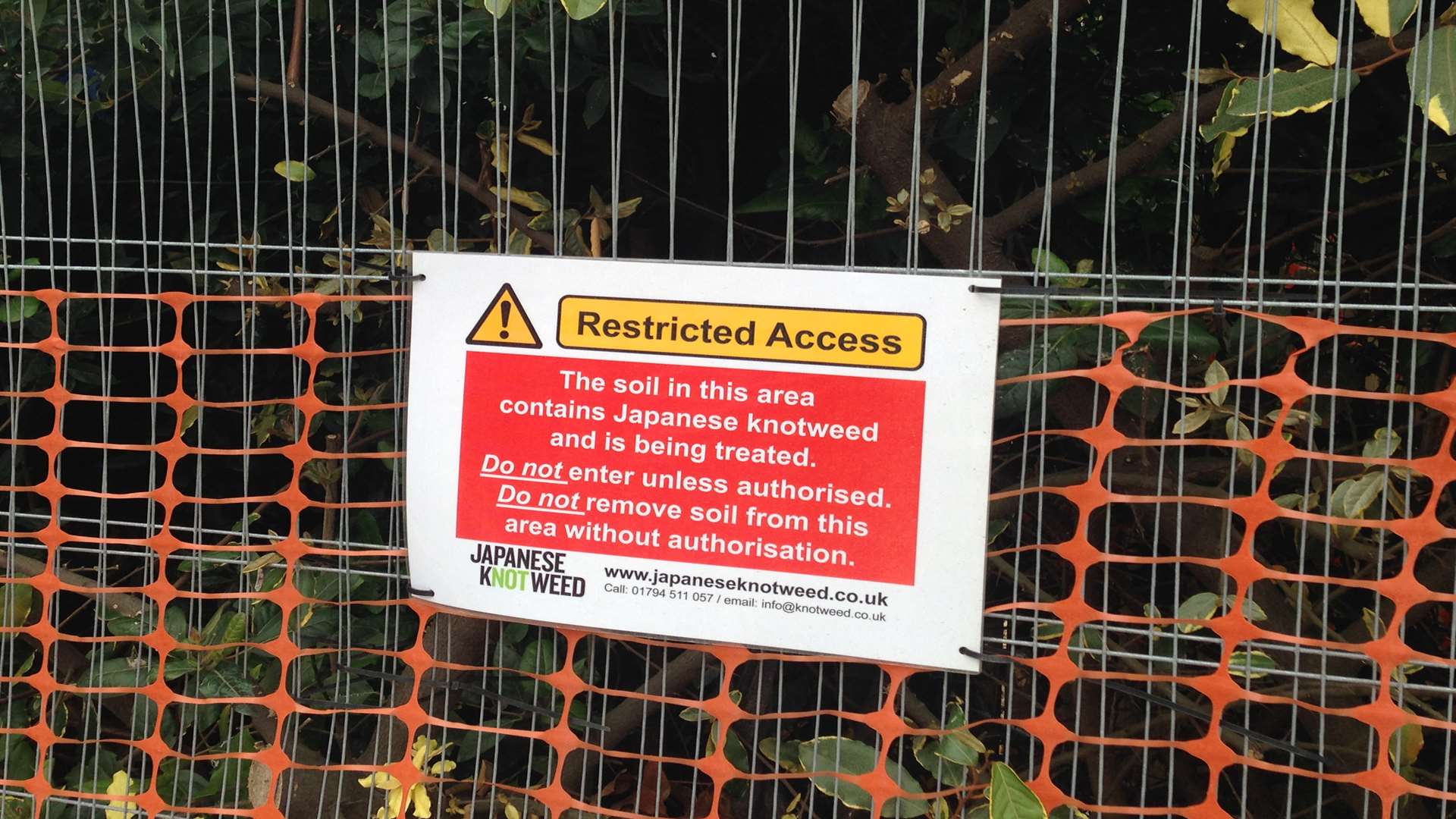 Japanese Knotweed Ltd are tackling the problem