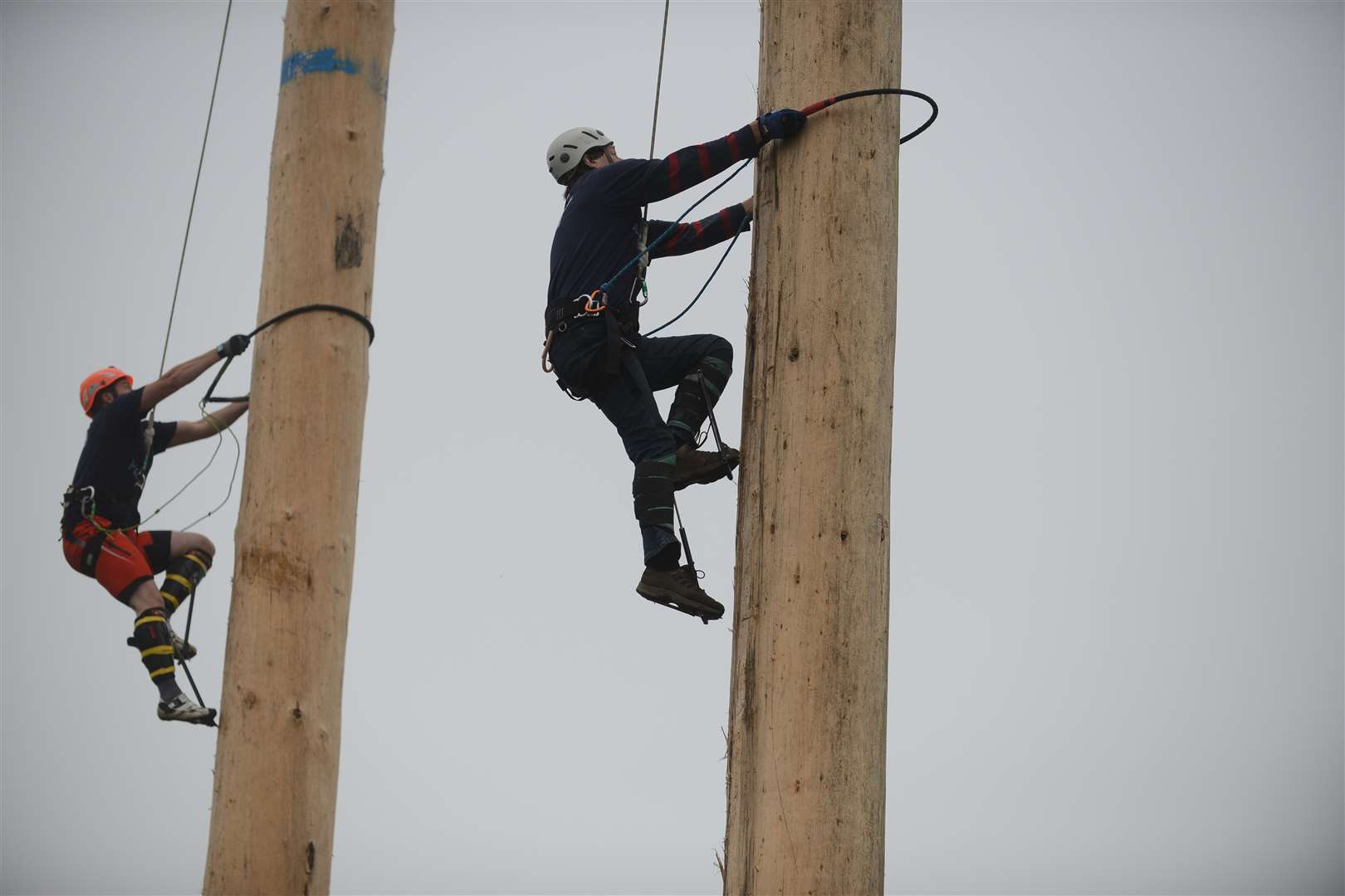 The Pole Climbing Championships debuted at the county show last year