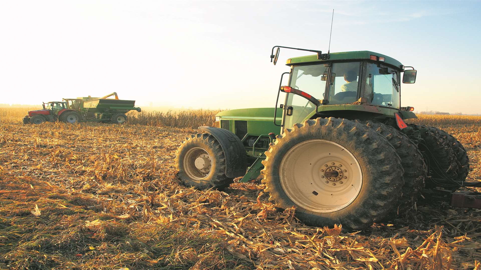Agriculture is becoming a more sought after subject at colleges. Stock picture