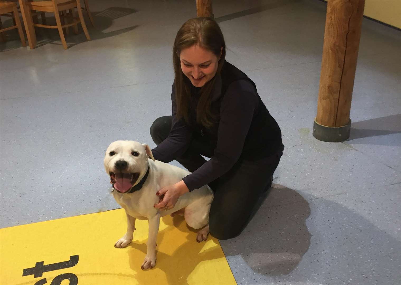 Hugo with Canterbury rehoming centre manager Harriet Blaskett. Picture: Dogs Trust (6456922)