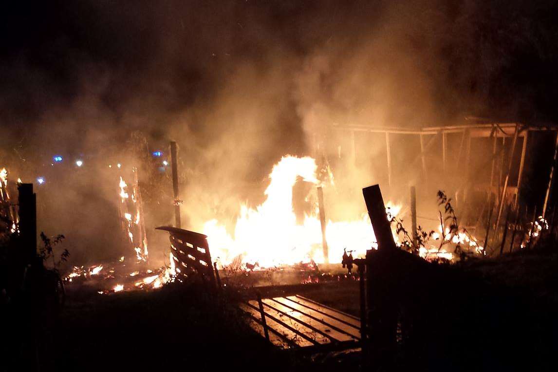 Fire at the allotments. Pic: Kapo Kapuscinski