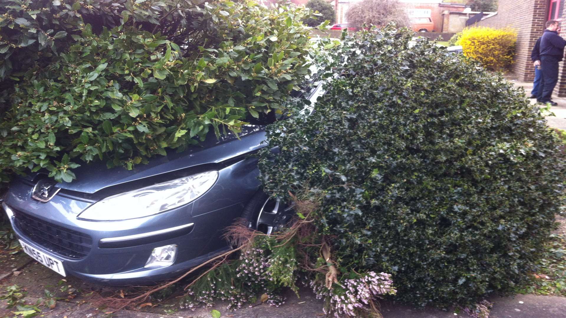 The car was wedged in the bush in Whitstable