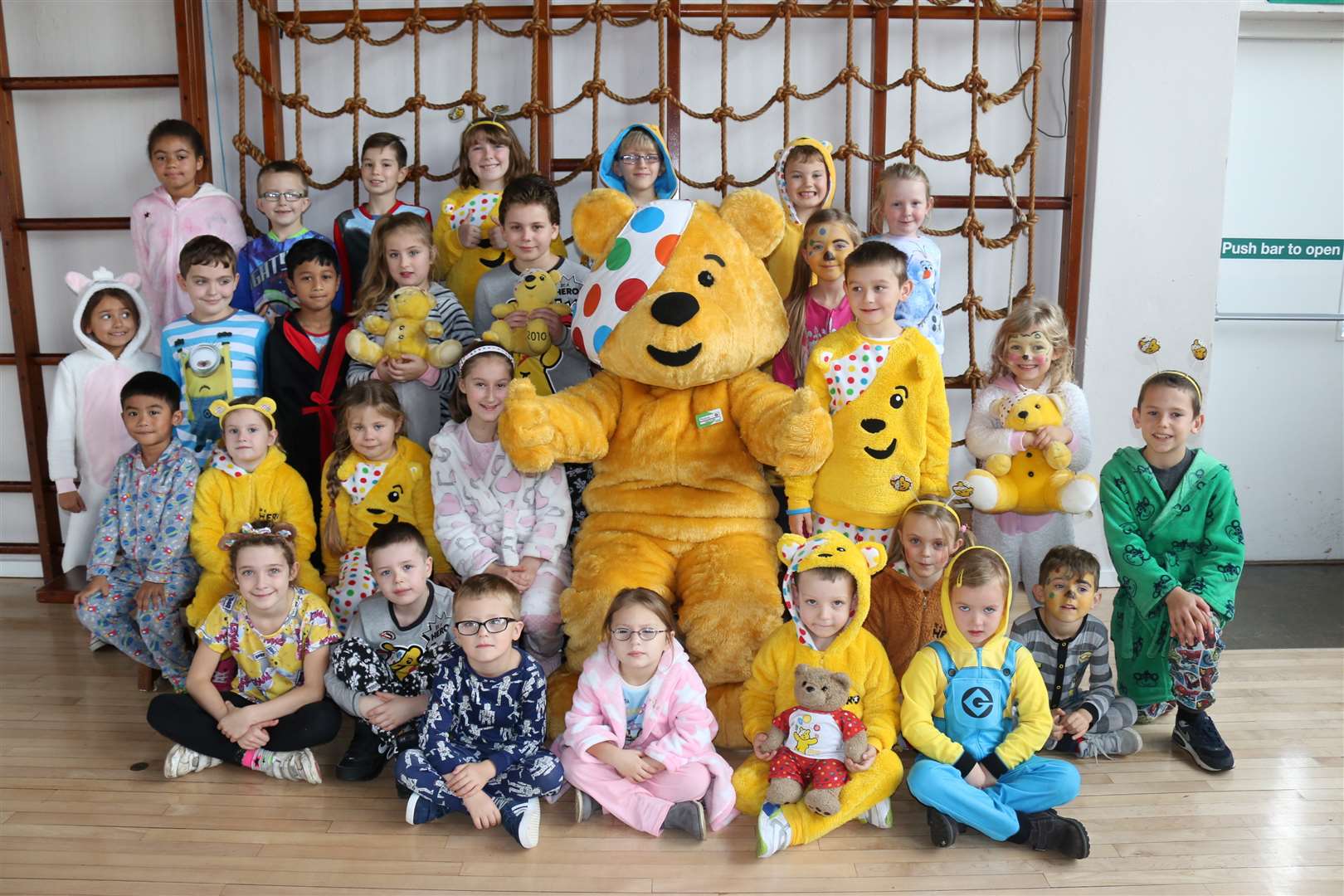 Children at The Brent Primary School meet Pudsey.